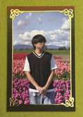 STOLEN PARADISE Photo Cards